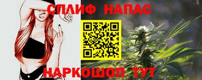 амф Обь