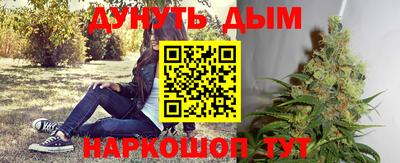 шишки Обнинск