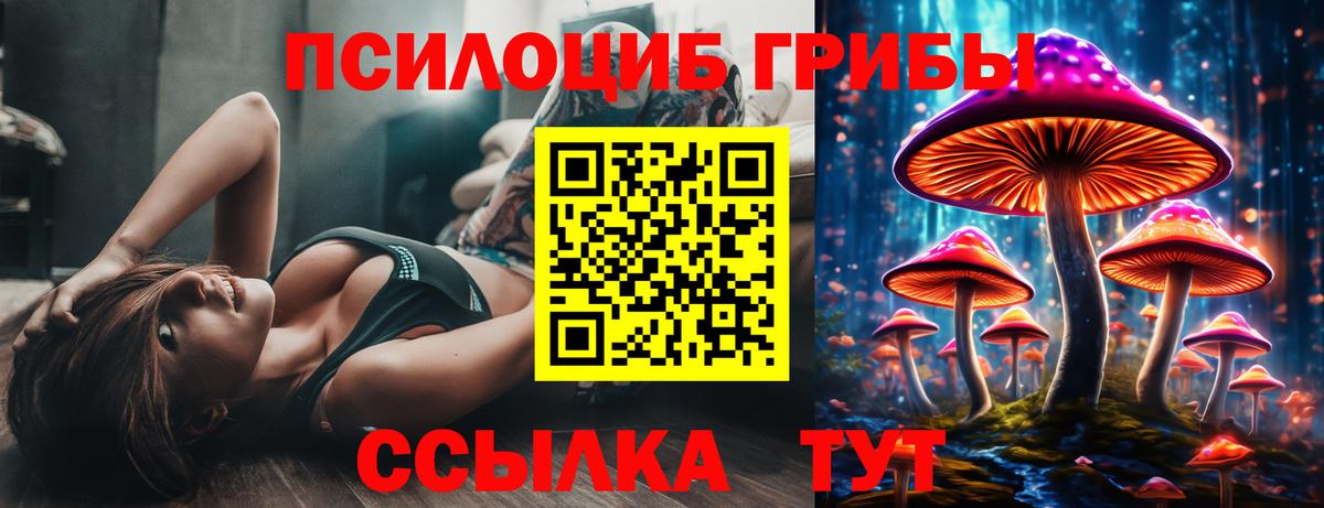 Галлюциногенные грибы Magic Shrooms Северск